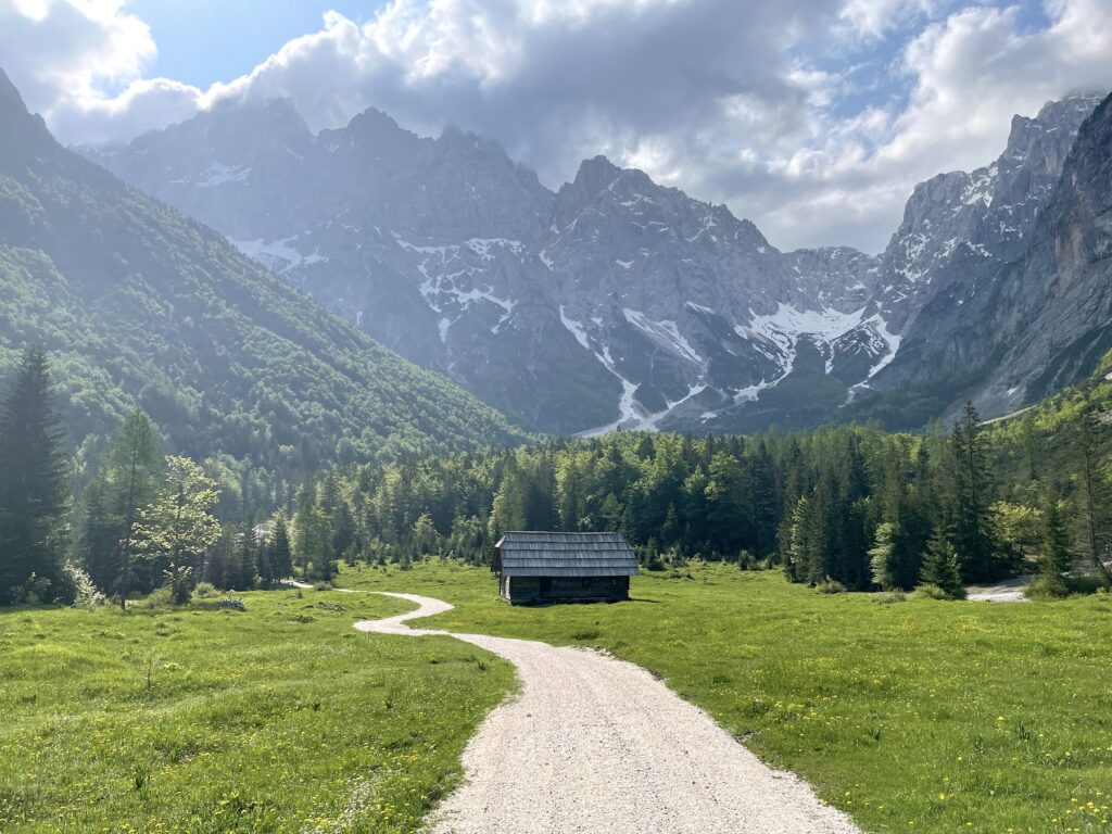 Горная дорога ведущая к подножию альп в Словении