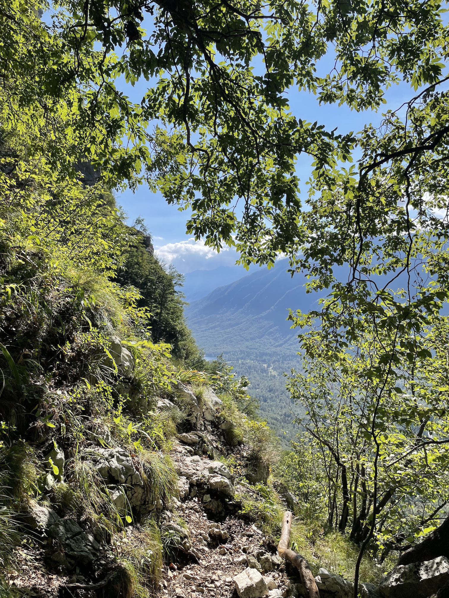 Склоны Бохиньских альп